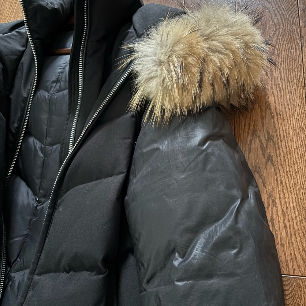 Atelier Noir Black Down Puffer Coat division of Rudsak Genuine Raccoon Fur Trim - Picture 5 of 16